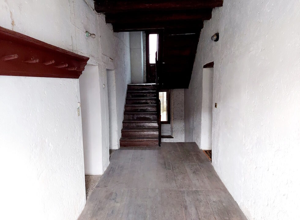 pre033 (6)
