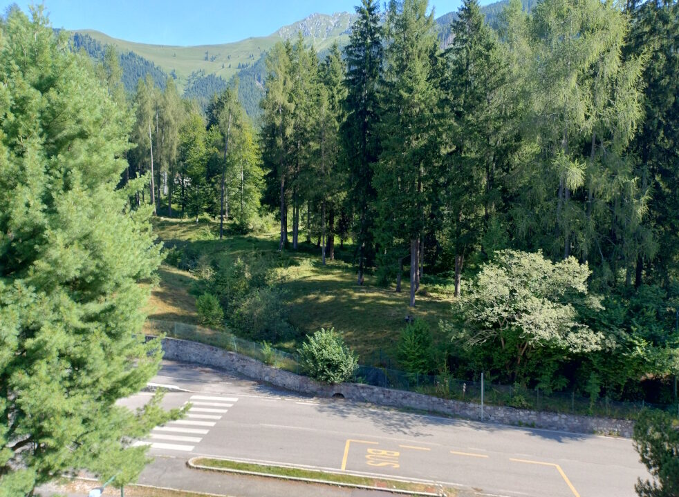 IMG_20240808_100424508_HDR