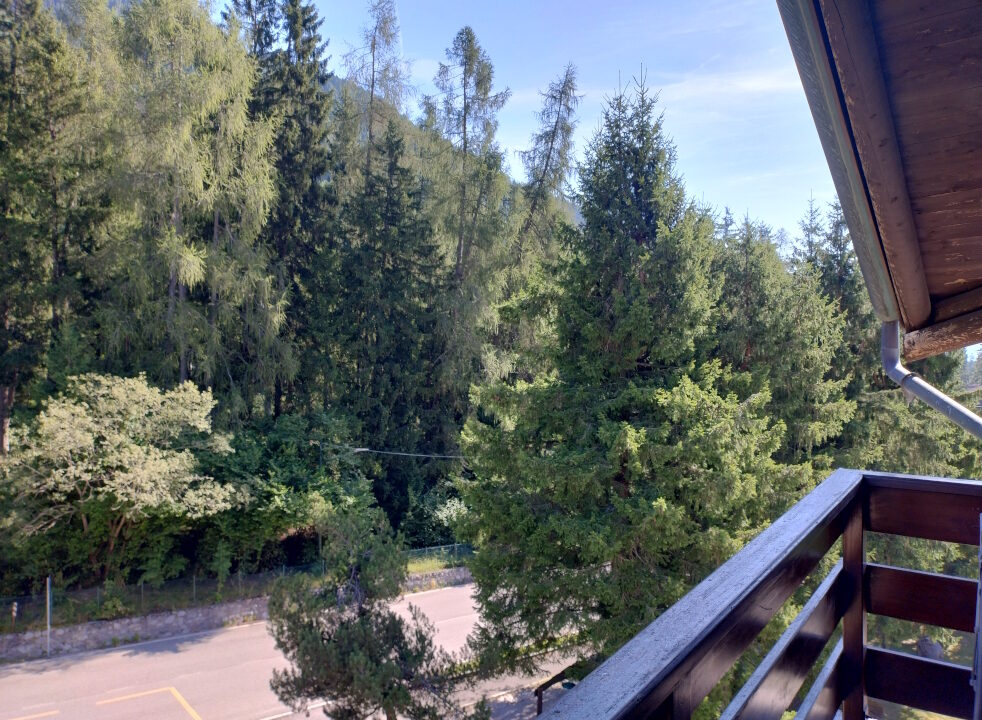 IMG_20240808_100427067_HDR
