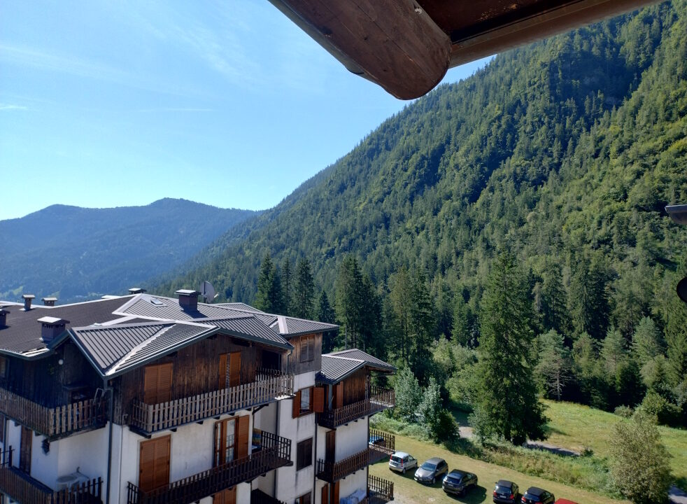 IMG_20240808_100458629_HDR