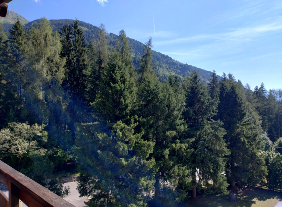 IMG_20240808_100501624_HDR