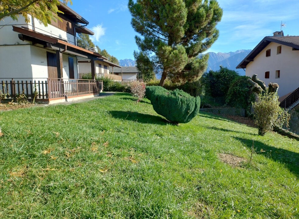 IMG_20241107_102312796_HDR