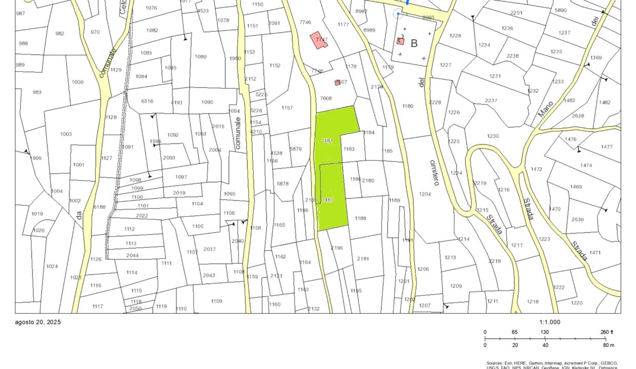 estratto mappa_page-0001