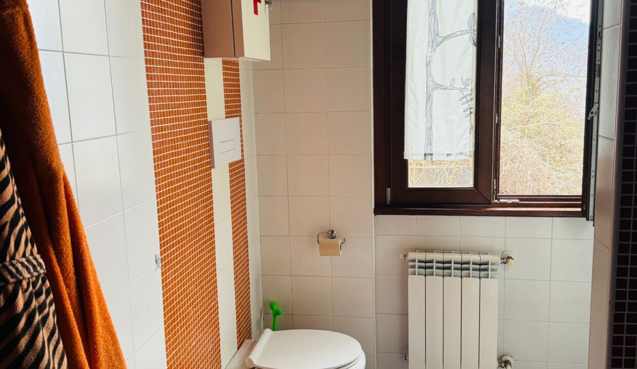 PHOTO-2026-01-23-14-39-35 (3)