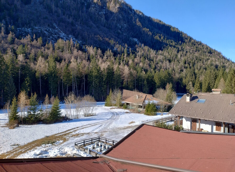 IMG_20260218_092157963_HDR