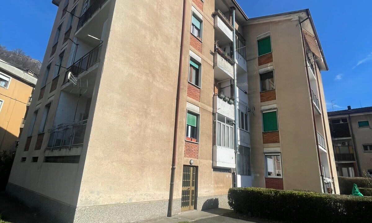 PHOTO-2026-02-23-10-41-57 (2) - Copia - Copia