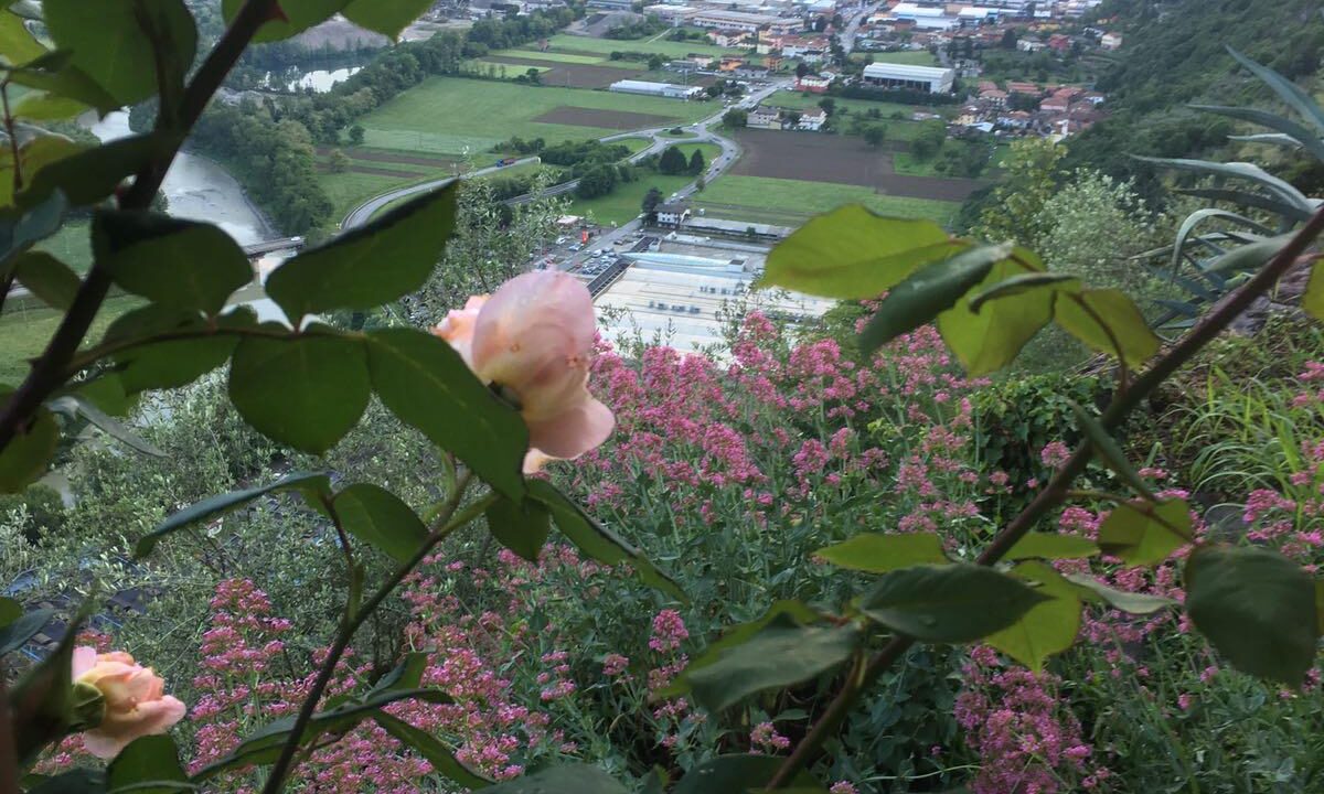 PHOTO-2026-01-09-19-04-42 (11)