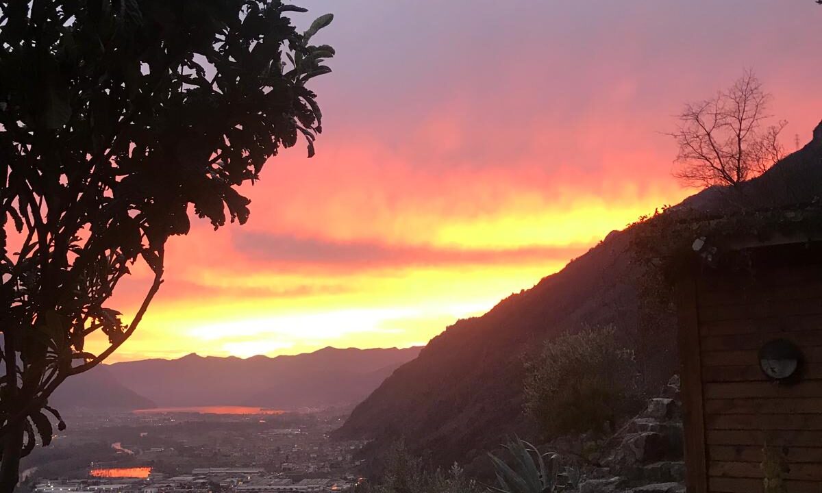 PHOTO-2026-01-09-19-06-07 (5)