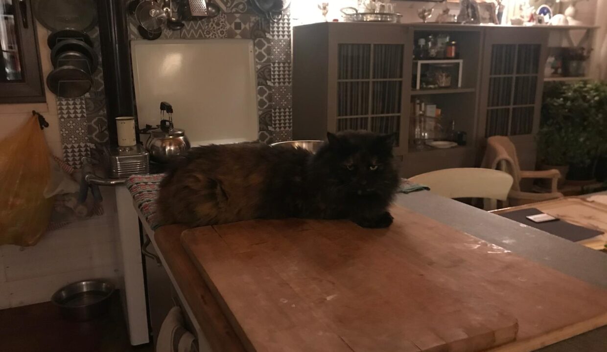 PHOTO-2026-01-09-19-06-07 (6)