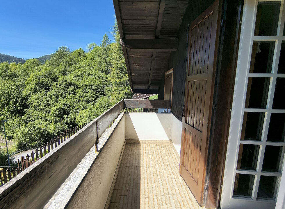 IMG_20260521_111616236_HDR