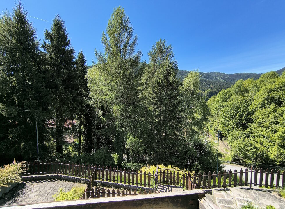 IMG_20260521_111629645_HDR