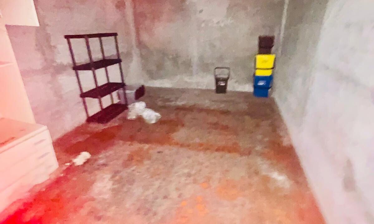 PHOTO-2026-05-11-10-22-31 (4)