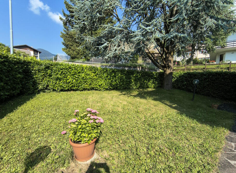 IMG_20260625_093341631_HDR