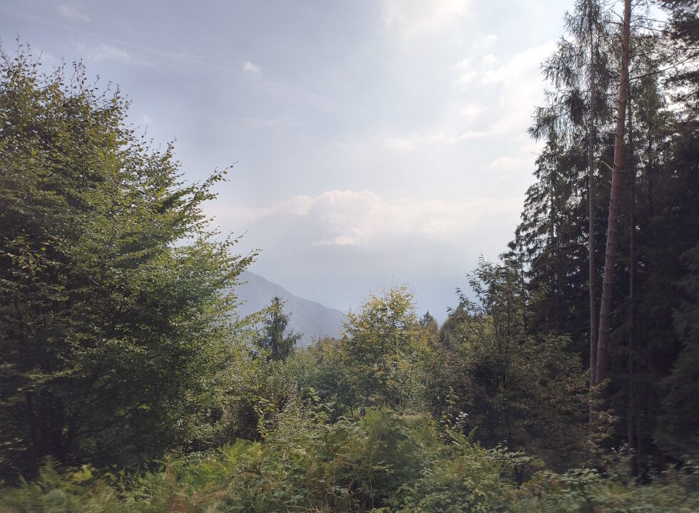 IMG_20260925_113640085