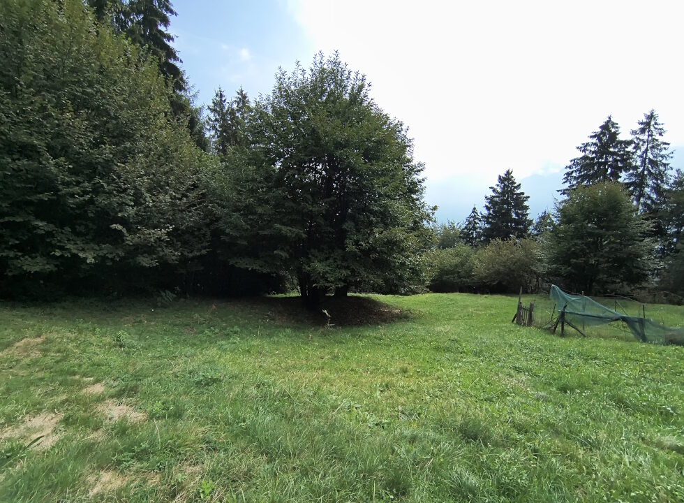 IMG_20260925_113740243