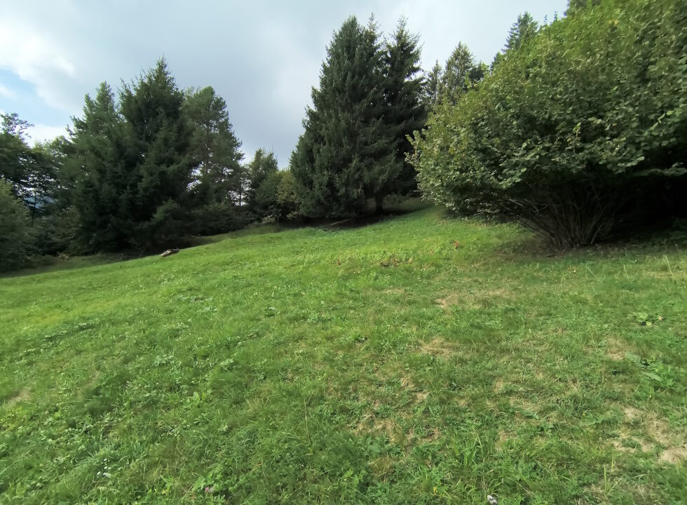 IMG_20260925_113745212